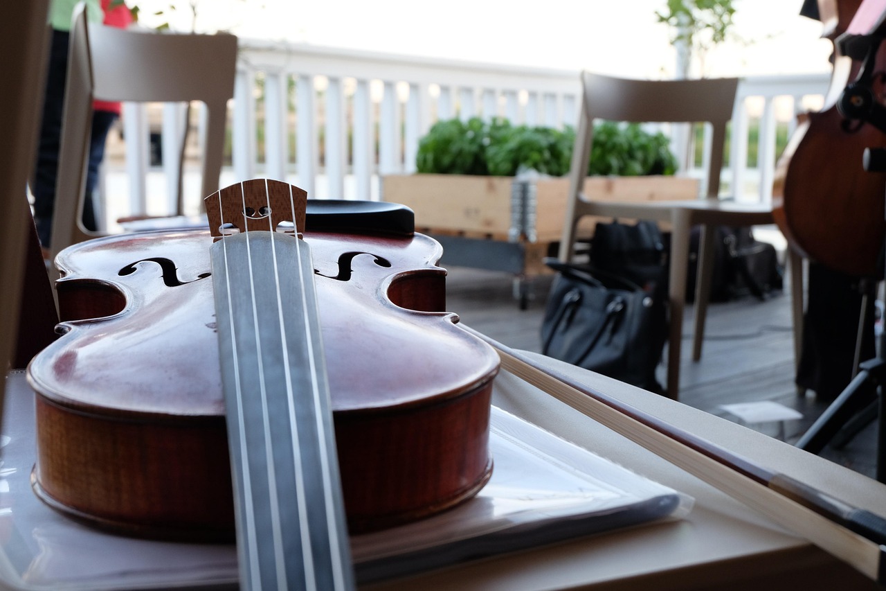 Vista della città del violino con botteghe artigiane e musei dedicati a Stradivari.