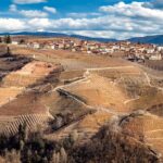 Panorama di un paese circondato da vigneti, con un forno che sforna pane fresco.