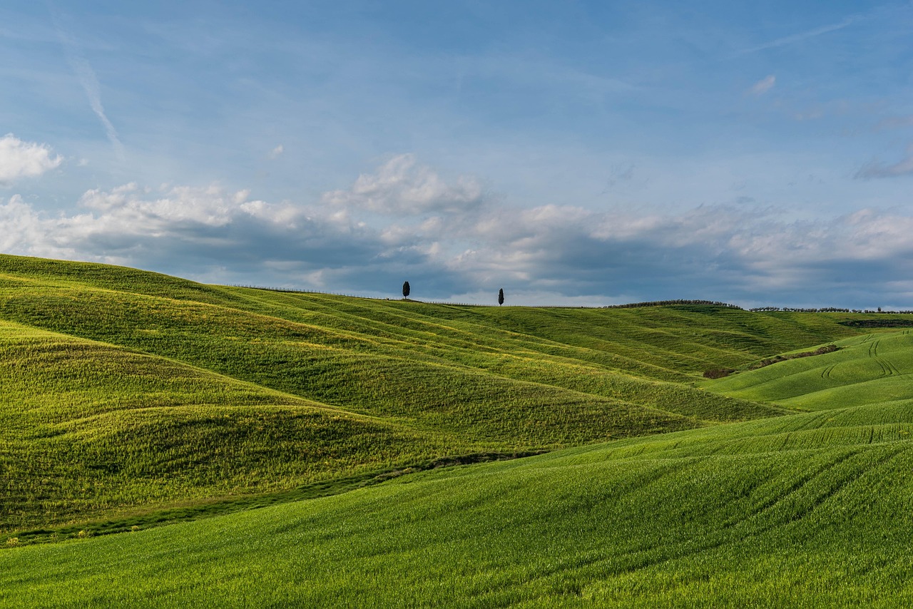 Panorama della Val d’Orcia con colline verdi e cipressi, simbolo del paesaggio toscano.