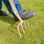 Immagine di un prato verde senza muschio, con strumenti da giardinaggio per il metodo giapponese.