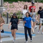 Immagine che illustra l'azzeramento dell'IMU per over 70 con ISEE aggiornato a giugno nelle regioni aderenti.